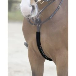 Schockemöhle Body Guard Vorderzeug Espresso -Geschäft für Reitsportbedarf 1160 00001 schoner bodyguard black.f9bc40 1