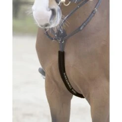 Schockemöhle Body Guard Vorderzeug Schwarz 9 Schockemöhle Body Guard Vorderzeug Schwarz -Geschäft für Reitsportbedarf 1160 00001 schoner bodyguard espresso.acb5cb