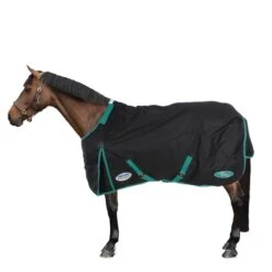 Weatherbeeta Winterdecke Green-Tec 900D Detach-A-Neck Medium 220g Schwarz/Grün -Geschäft für Reitsportbedarf 44736426 2.257e5f
