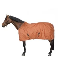 Kentucky Horsewear Kentucky Turnout All Weather 160g Braun 32 Kentucky Horsewear Kentucky Turnout All Weather 160g Braun -Geschäft für Reitsportbedarf 44850185.6475d1