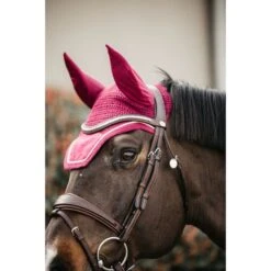Kentucky Horsewear Kentucky Ohrnetz Wellington Velvet Violett Warmblut 34 Kentucky Horsewear Kentucky Ohrnetz Wellington Velvet Violett Warmblut -Geschäft für Reitsportbedarf 485a8740.b8a64b