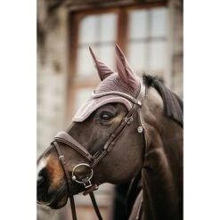 Kentucky Horsewear Kentucky Ohrnetz Wellington Velvet Violett Warmblut 41 Kentucky Horsewear Kentucky Ohrnetz Wellington Velvet Violett Warmblut -Geschäft für Reitsportbedarf 485a8875.036313