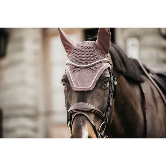 Kentucky Horsewear Kentucky Ohrnetz Wellington Velvet Violett Warmblut 21 Kentucky Horsewear Kentucky Ohrnetz Wellington Velvet Violett Warmblut – Bild 19