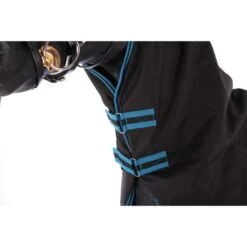 Horka Deckenhals Dime 600D, 100g Gefüttert Schwarz 25 Horka Deckenhals Dime 600D, 100g Gefüttert Schwarz -Geschäft für Reitsportbedarf agradi 44543909 2.9db548