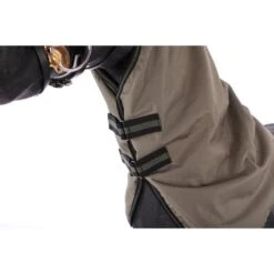 Horka Deckenhals Dime 600D, 100g Gefüttert Schwarz 37 Horka Deckenhals Dime 600D, 100g Gefüttert Schwarz -Geschäft für Reitsportbedarf agradi 44543912 2.d1438a