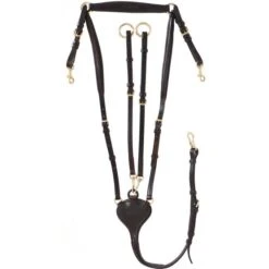 Kavalkade Brustgeschirr Lorenz Schwarz 30 Kavalkade Brustgeschirr Lorenz Schwarz -Geschäft für Reitsportbedarf agradi 44577608 1.2e8dc4