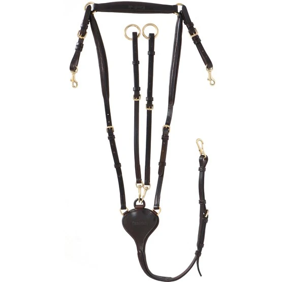 Kavalkade Brustgeschirr Lorenz Schwarz 11 Kavalkade Brustgeschirr Lorenz Schwarz – Bild 9