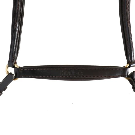 Kavalkade Brustgeschirr Lorenz Schwarz 14 Kavalkade Brustgeschirr Lorenz Schwarz – Bild 12