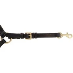 Kavalkade Brustgeschirr Lorenz Schwarz 34 Kavalkade Brustgeschirr Lorenz Schwarz -Geschäft für Reitsportbedarf agradi 44577608 5.ff69de