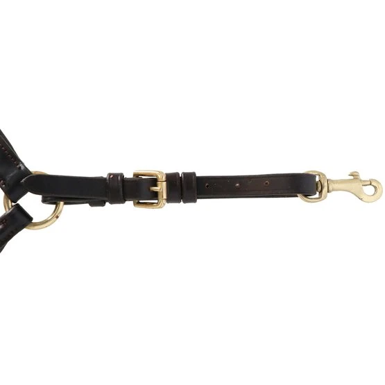 Kavalkade Brustgeschirr Lorenz Schwarz 15 Kavalkade Brustgeschirr Lorenz Schwarz – Bild 13