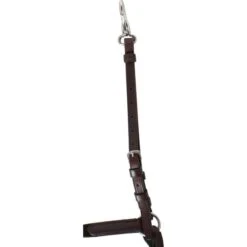 Passier Vorderzeug Ingrid Klimke Havanna/Silber -Geschäft für Reitsportbedarf agradi 44709656 4.5059e2