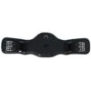 EQuick Dressurgurt EPearl Schwarz -Geschäft für Reitsportbedarf agradi 44728336 1.2f64e3