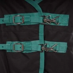 Weatherbeeta Winterdecke Green-Tec 900D Detach-A-Neck Medium 220g Schwarz/Grün -Geschäft für Reitsportbedarf agradi 44736426 1.bea1d6