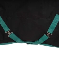 Weatherbeeta Winterdecke Green-Tec 900D Detach-A-Neck Medium 220g Schwarz/Grün -Geschäft für Reitsportbedarf agradi 44736426 7.4f39fd