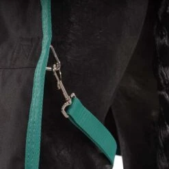 Weatherbeeta Winterdecke Green-Tec 900D Detach-A-Neck Medium 220g Schwarz/Grün -Geschäft für Reitsportbedarf agradi 44736426 9.707eb9