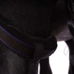 Weatherbeeta Winterdecke Comfitec Ultra Cozi IIDetach-A-Neck 220g Charcoal/Blau/Weiß -Geschäft für Reitsportbedarf agradi 44747539 8.62bbe3