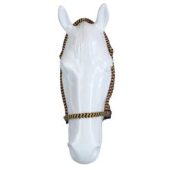 F.R.A. Gebisslose Trense Igor Integrierte Zügel Baumwolle Schwarz/Weiß 25 F.R.A. Gebisslose Trense Igor Integrierte Zügel Baumwolle Schwarz/Weiß -Geschäft für Reitsportbedarf agradi 44874734 3.dadeec