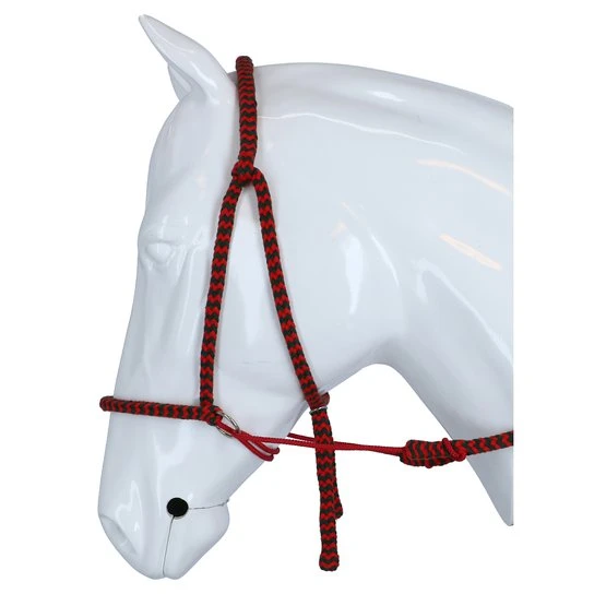 F.R.A. Gebisslose Trense Igor Integrierte Zügel Baumwolle Schwarz/Weiß 11 F.R.A. Gebisslose Trense Igor Integrierte Zügel Baumwolle Schwarz/Weiß – Bild 9