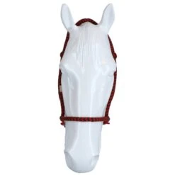 F.R.A. Gebisslose Trense Igor Integrierte Zügel Baumwolle Schwarz/Weiß 29 F.R.A. Gebisslose Trense Igor Integrierte Zügel Baumwolle Schwarz/Weiß -Geschäft für Reitsportbedarf agradi 44874736 3.5af9fd