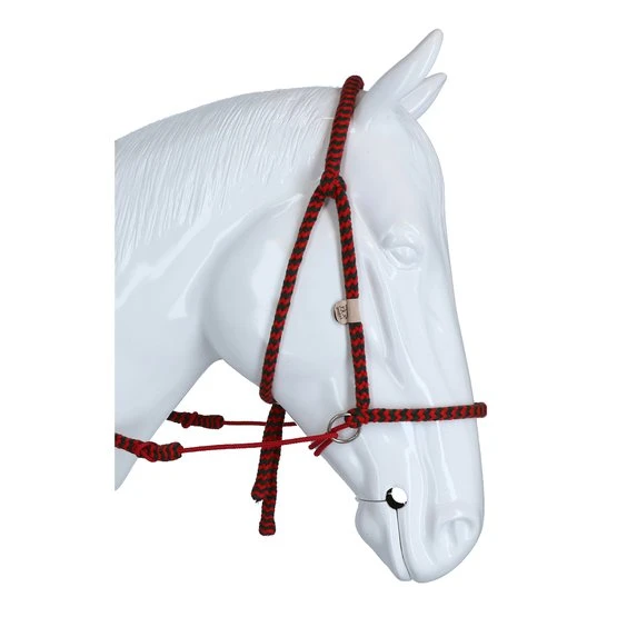 F.R.A. Gebisslose Trense Igor Integrierte Zügel Baumwolle Schwarz/Weiß 14 F.R.A. Gebisslose Trense Igor Integrierte Zügel Baumwolle Schwarz/Weiß – Bild 12