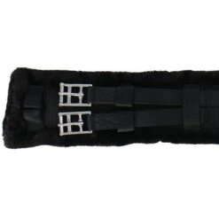 Norton Kurzer Sattelgurt Smooth Elastik Schwarz -Geschäft für Reitsportbedarf agradi 45045024 3.4be036