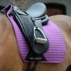 Weatherbeeta Schabracke Prime Dressur Violett -Geschäft für Reitsportbedarf agradi 45076069 7.1c790f