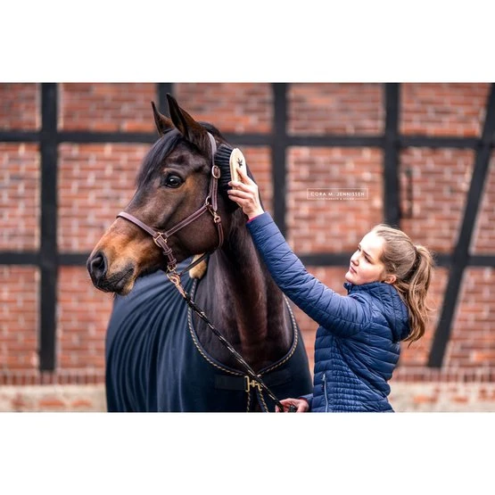 Bense & Eicke Glanzbürste GlanzElse 4 Bense & Eicke Glanzbürste GlanzElse – Bild 2