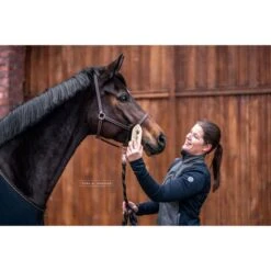 Bense & Eicke Glanzbürste GlanzElse 10 Bense & Eicke Glanzbürste GlanzElse -Geschäft für Reitsportbedarf be 1630 benseundeicke staub und fellglanzburste glanzelse 2.d14dff