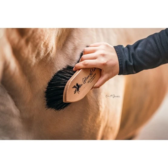 Bense & Eicke Glanzbürste GlanzElse 8 Bense & Eicke Glanzbürste GlanzElse – Bild 6