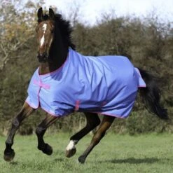 Bucas Freedom Turnout Light 0g Kohle -Geschäft für Reitsportbedarf bucas freedom turnout denim 662 663 643 p5867.9189d2