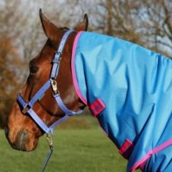 Bucas Freedom Turnout Light Full Neck Denim -Geschäft für Reitsportbedarf bucas freedom turnout full neck dublin halter lead rope denim 673 412 212 p5279.4da53c