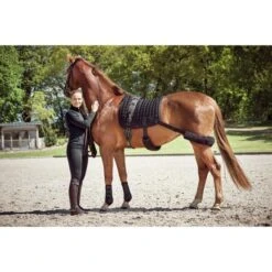 Catago Schabracke FIR-Tech Mit Gummizug Dressur Schwarz 16 -Geschäft für Reitsportbedarf catago 50360601 1 1200px.92f836