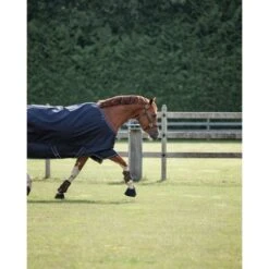 Dominick Outdoordecke Turnout Lite 0g 0g Navy/Weiß -Geschäft für Reitsportbedarf dominick 0b9a1148 bewerkt.3dcbc9