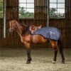 Dyon Ausreitdecke 3 In 1 Wasserdicht Navy -Geschäft für Reitsportbedarf dyon ho21ina.fe2b09