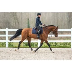 Dyon Schlaufzügel 5/8 Leder/Nylon Braun -Geschäft für Reitsportbedarf dyon renes allemandes tout cuir 1 2 noir full d collection 1.53ae56