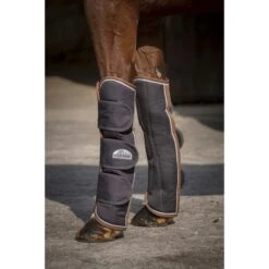 EQUITHÈME Transportgamaschen Tyrex 600D Navy/Grau Dots -Geschäft für Reitsportbedarf ekk 402 080 403.4ed604