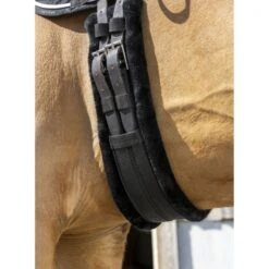 Norton Kurzer Sattelgurt Smooth Elastik Schwarz -Geschäft für Reitsportbedarf ekkia 203 008 270 ambi1.0cf72c