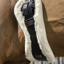 Norton Dressurgurt XTR Mit Kunstschaffell Havanna -Geschäft für Reitsportbedarf ekkia 203 227 570 ambi1.7be5d7