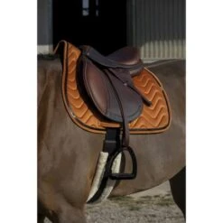 EQUITHÈME Schabracke Glossy Vielseitig Altrosa Warmblut -Geschäft für Reitsportbedarf ekkia 204 761 022 ambi1.a04797