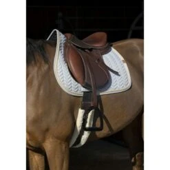 EQUITHÈME Schabracke Softy Jumping Grau Warmblut -Geschäft für Reitsportbedarf ekkia 204 763 021 ambi1.92f2ec 1