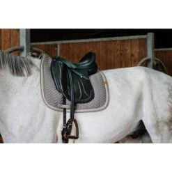 EQUITHÈME Schabracke Softy Dressur Grau -Geschäft für Reitsportbedarf ekkia 204 766 011 ambi1.2ca36e