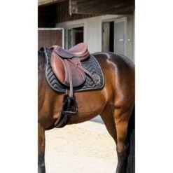 EQUITHÈME Schabracke Rain Springen Braun Warmblut -Geschäft für Reitsportbedarf ekkia 204 780 002 ambi1.ae872a