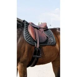 EQUITHÈME Schabracke Rain Springen Braun Warmblut -Geschäft für Reitsportbedarf ekkia 204 780 009 ambi1.67bbd1