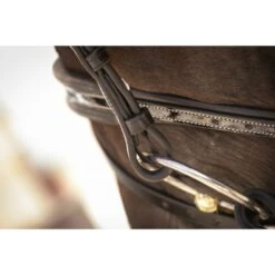 PÉNÉLOPE Pénélope Zaum Smoothie Schwarz Vollblut -Geschäft für Reitsportbedarf ekkia 301 604 302 det9.b1c414