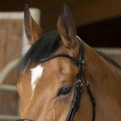 Norton Kandarenzaum Pro Schwarz -Geschäft für Reitsportbedarf ekkia 303 031 302 det1.105ce9