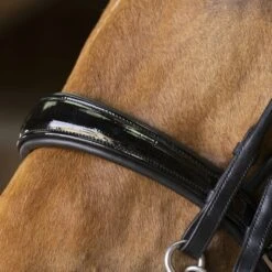 Norton Kandarenzaum Pro Schwarz -Geschäft für Reitsportbedarf ekkia 303 031 302 det2.d1ff81