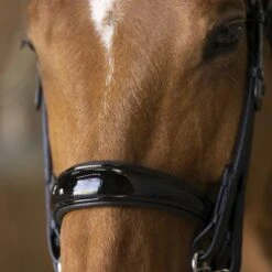 Norton Kandarenzaum Pro Schwarz -Geschäft für Reitsportbedarf ekkia 303 031 302 det3.2f9503