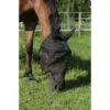 EQUITHÈME Fliegenmaske Anti-UV Protec Schwarz 2 EQUITHÈME Fliegenmaske Anti-UV Protec Schwarz -Geschäft für Reitsportbedarf ekkia 306 753 003 det.53e23c