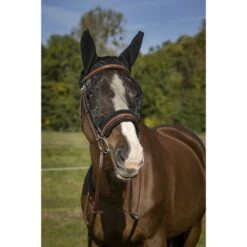 EQUITHÈME Fliegenmaske Anti-UV Training Schwarz 11 EQUITHÈME Fliegenmaske Anti-UV Training Schwarz -Geschäft für Reitsportbedarf ekkia 306 920 203 ambi1.680f64