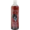 Officinalis Shampoo Blueberry 500ml -Geschäft für Reitsportbedarf ekkia 709 001.985f09